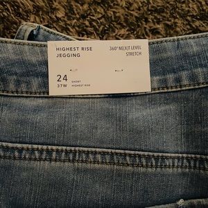 American eagle plus-size jeans